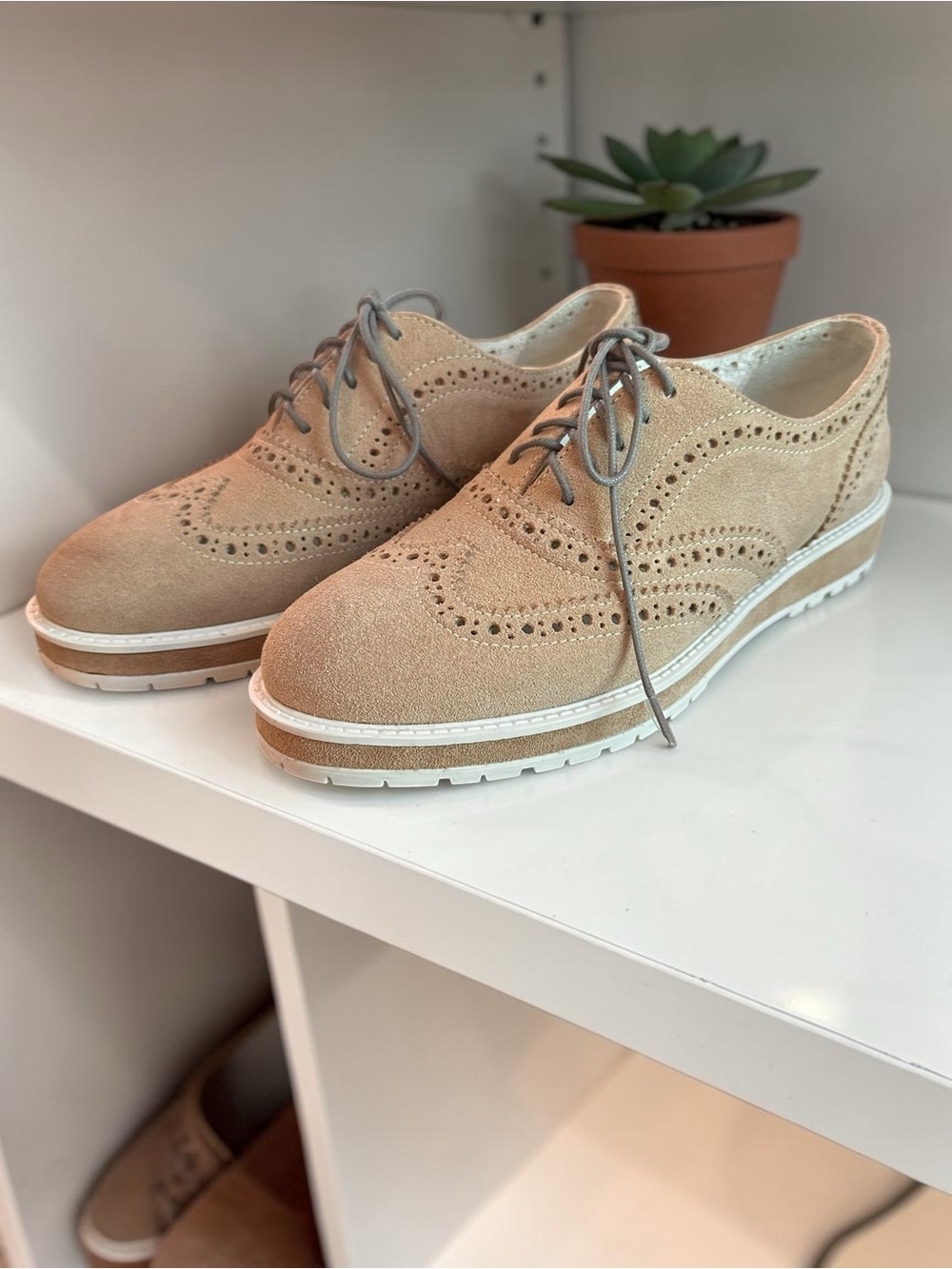 Girotti Derby Shoes